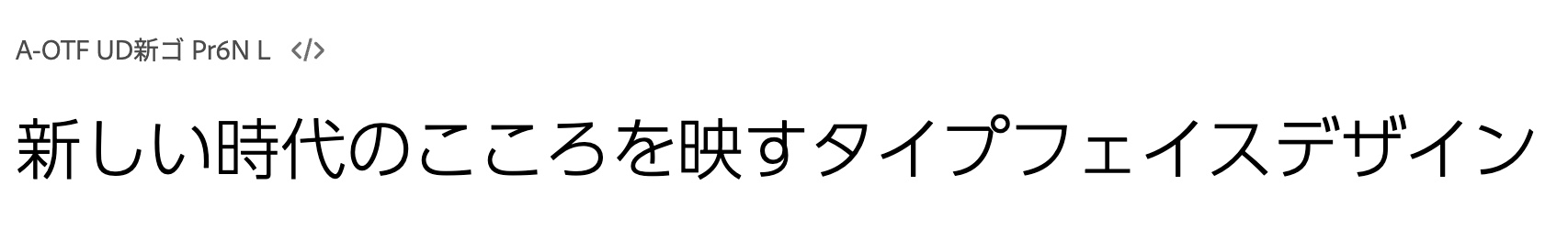 A-OTF UD新ゴ Pr6N