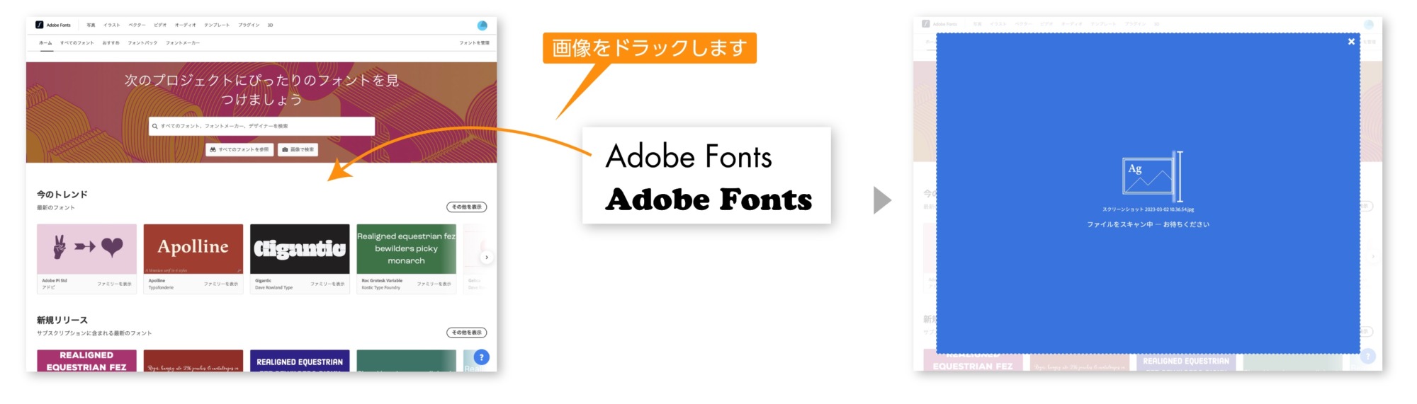 Adobe Fontsからフォントを調べる